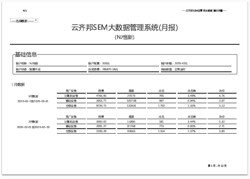 云齐邦竞价托管